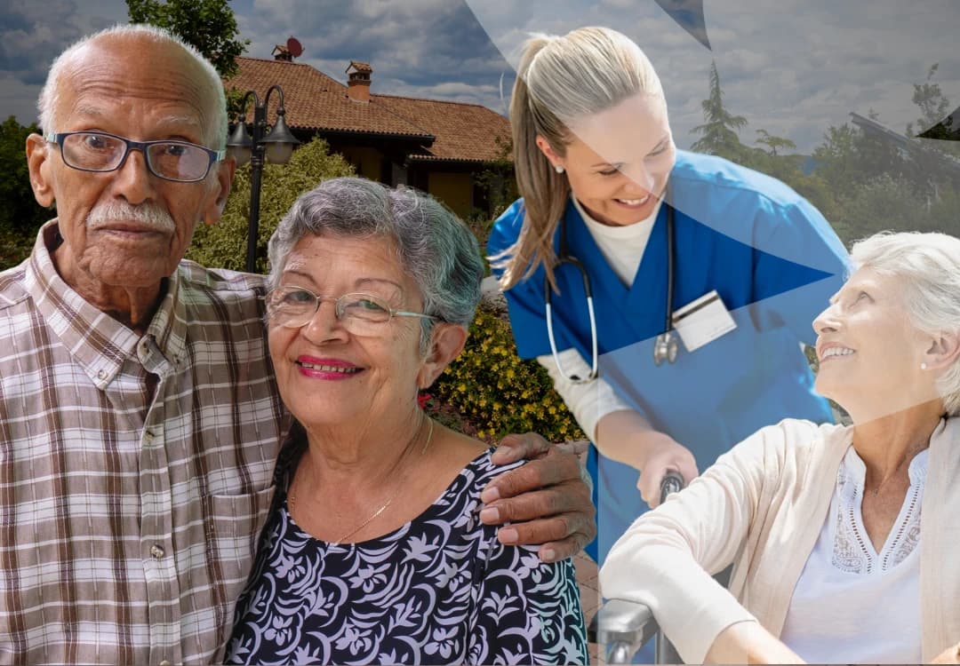 Support and companionship for the elderly in nursing homes