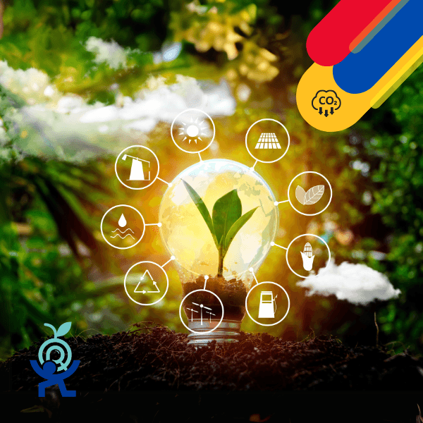 Pulmón Verde - Carbono Verde Internacional - Conectando Bosques y Mercados